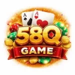 58Q Game